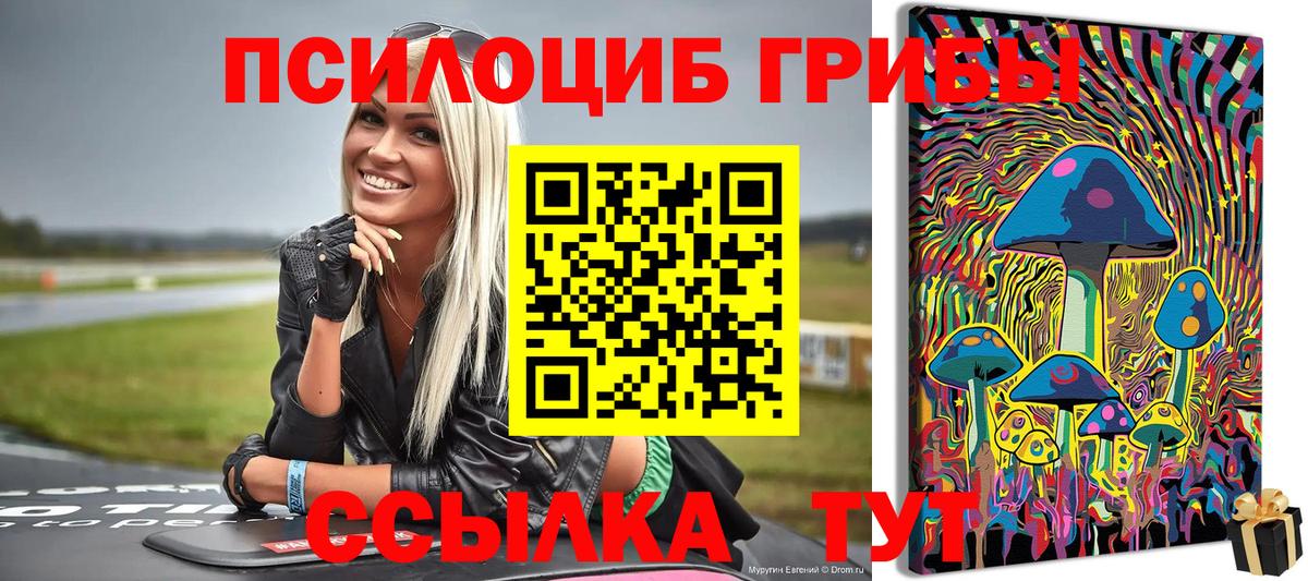 Галлюциногенные грибы ЛСД Котовск
