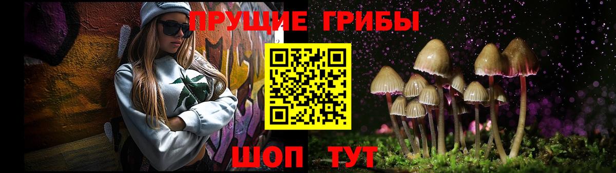 Псилоцибиновые грибы GOLDEN TEACHER  Вход с VPN  Котовск 